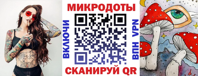 закладка  Новоржев  Псилоцибиновые грибы Magic Shrooms 